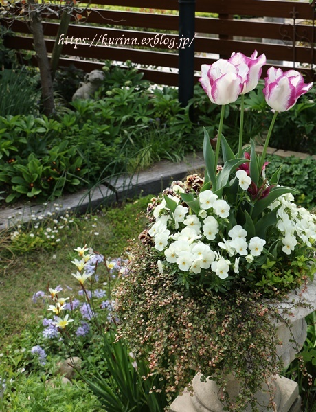 a0123003_23164390.jpg