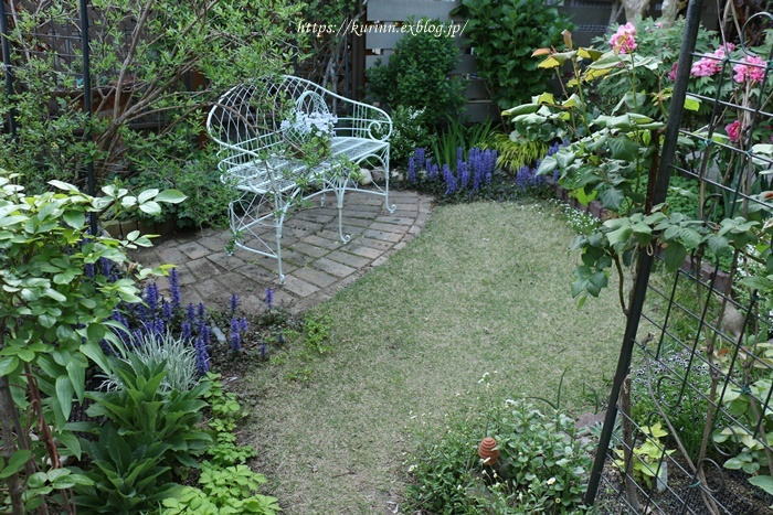a0123003_23494149.jpg