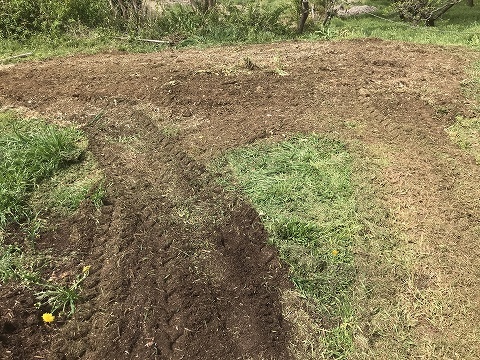 e0270403_10020163.jpg