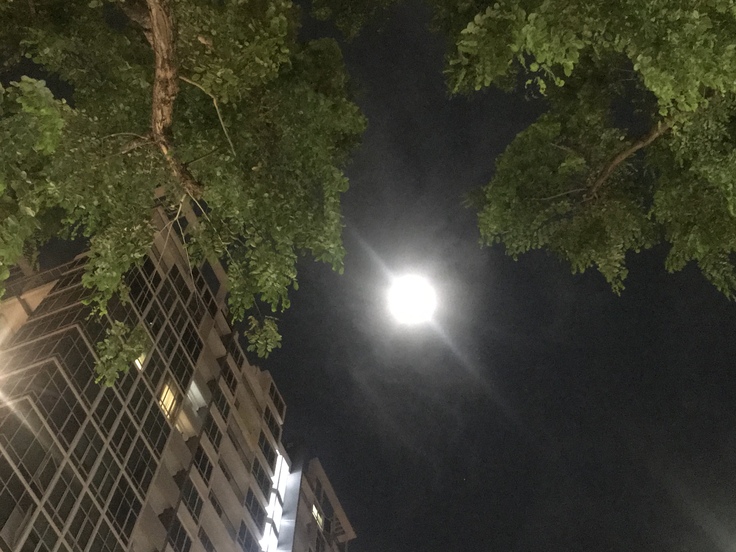 夜中に火災で全員避難!(Village Hotel Katong)_c0212604_3343969.jpg