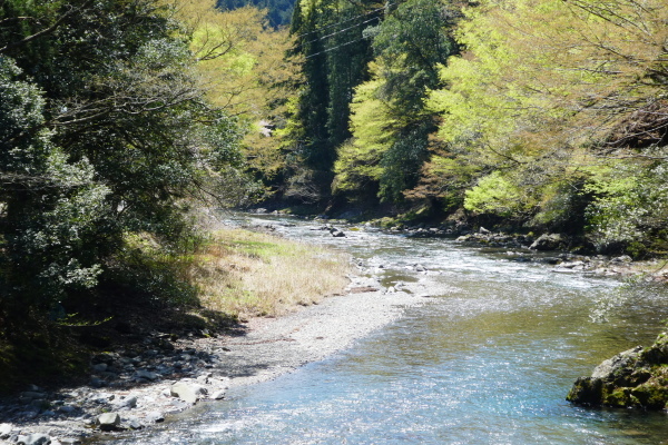 イワウチハ咲く　岩岳 (999.5M)   　下山 編_d0170615_22053614.jpg