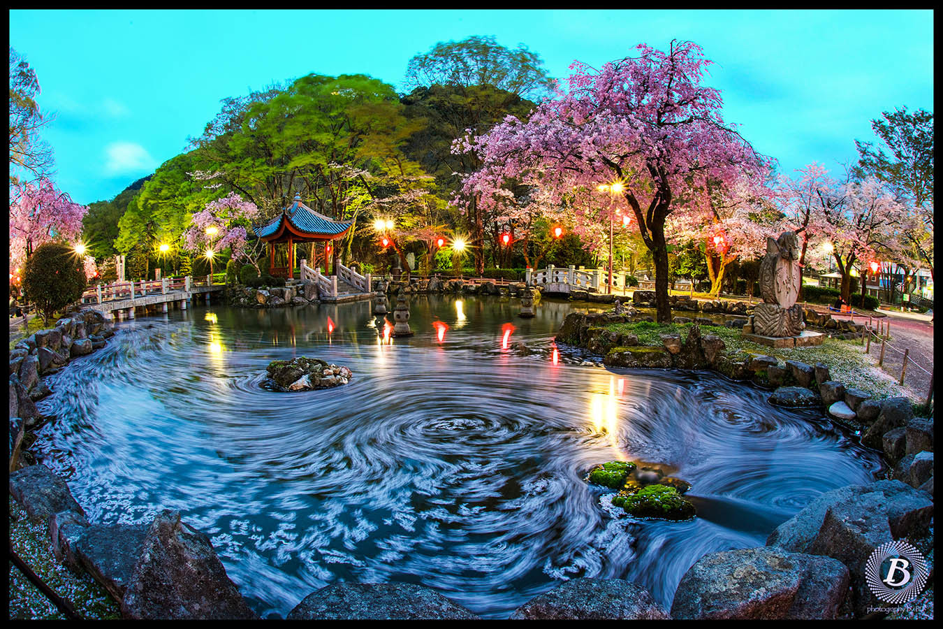 日中友好庭園 岐阜公園 の桜19 びっと飴