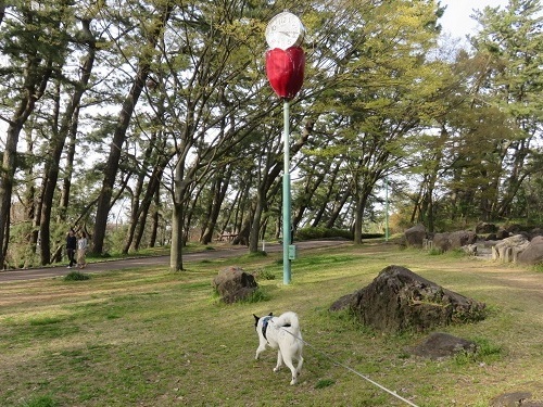 桜の次は、チューリップ！_c0084117_18055359.jpg