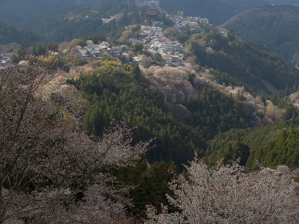 e0238623_21351800.jpg