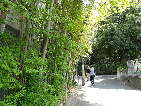 f0097523_15310312.jpg