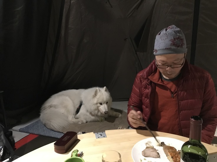 f0234023_07081104.jpeg