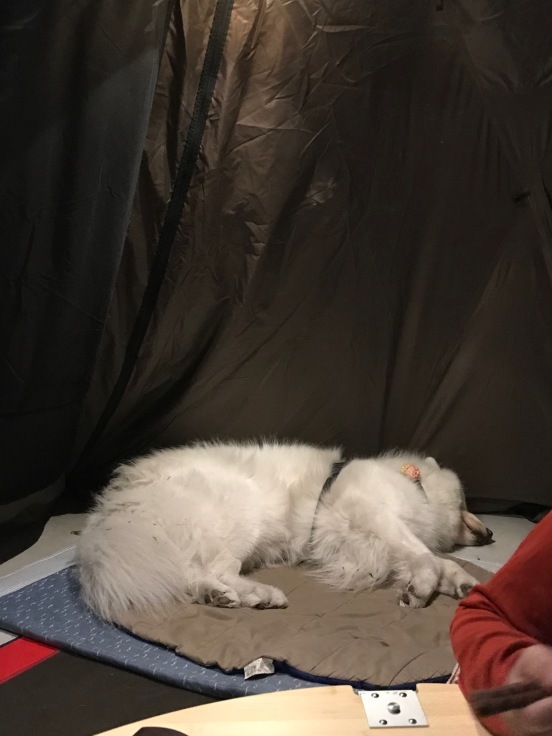 f0234023_07081793.jpeg