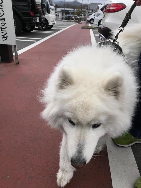 f0234023_07084782.jpeg