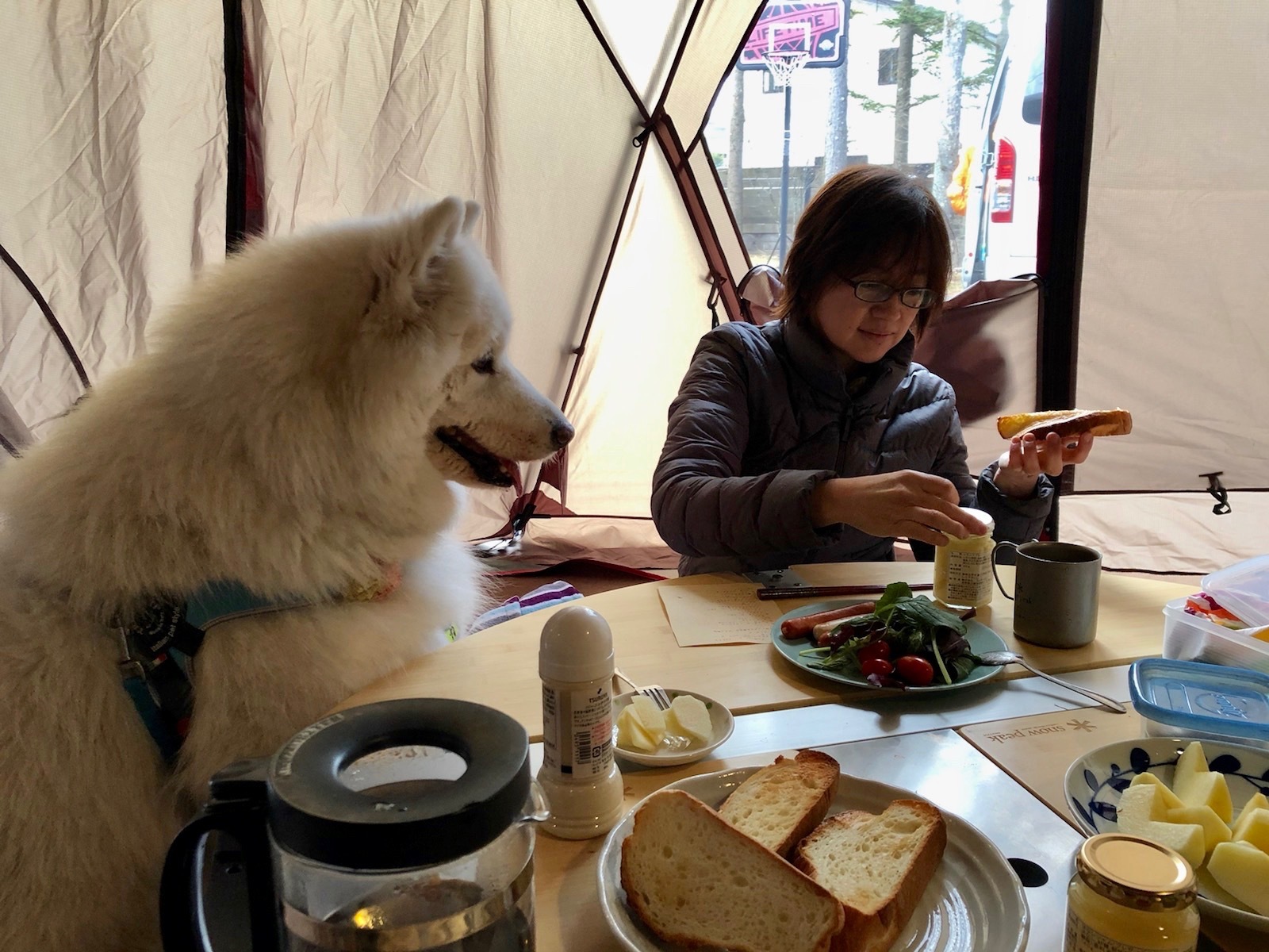 f0234023_07133784.jpeg