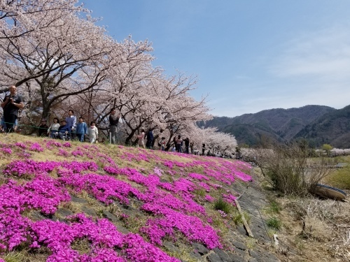 無事につくづく感謝　花の河口湖でアイス_e0016828_10260824.jpg