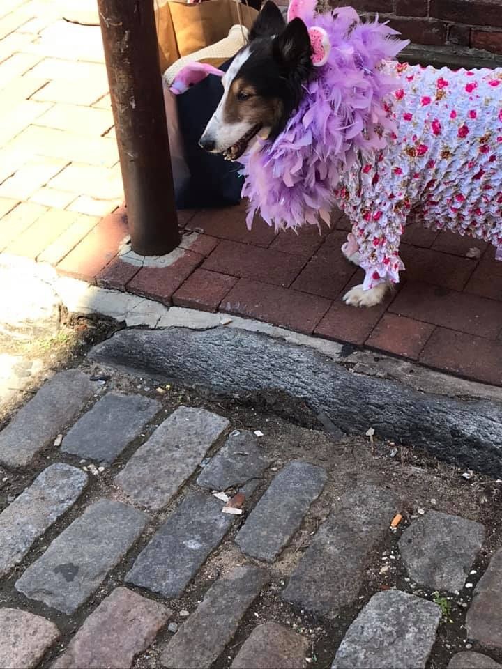 d0269832_20431708.jpeg