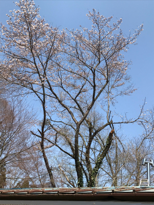 b0229636_23225547.jpg