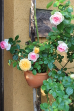 b0260241_08344290.jpg