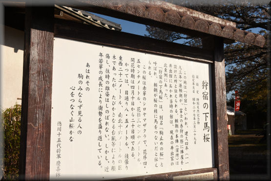 f0363141_08091625.jpg