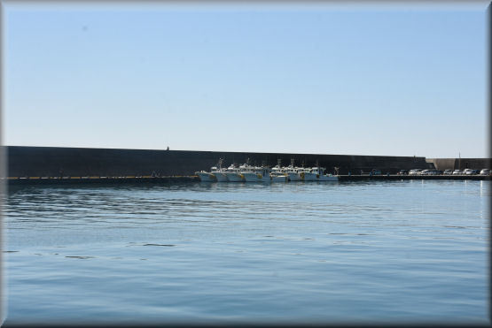 f0363141_14491480.jpg