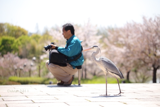 大阪 花盛りの公園で撮影会 in 花博記念公園 鶴見緑地_e0227942_21495248.jpg