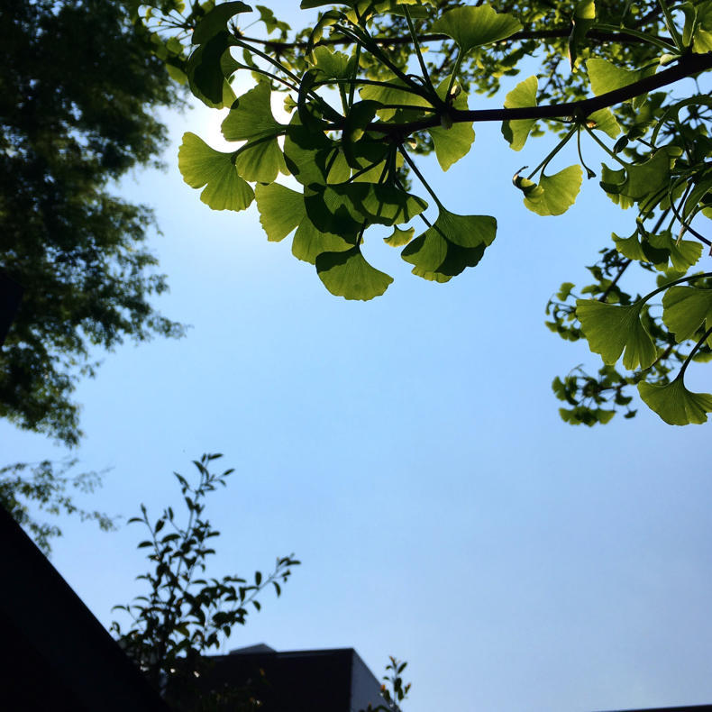 45になりました_c0060143_14504004.jpg