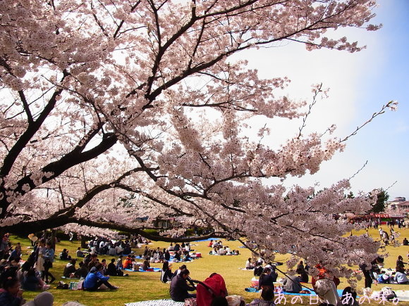 a0305046_15100692.jpg