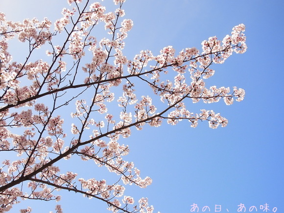 a0305046_15103368.jpg