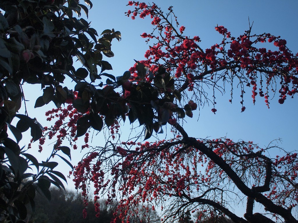 b0319255_00403841.jpg