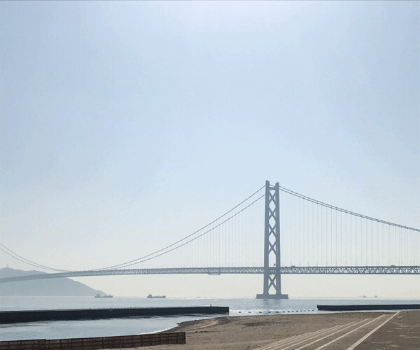 a0124456_17282940.gif
