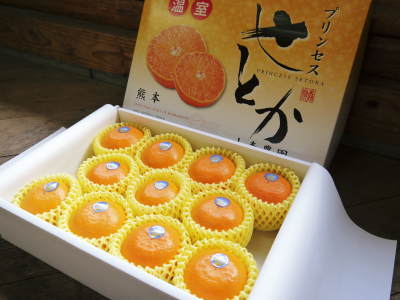 母の日ギフト2019 至高の最旬フルーツをお届けしませんか?第4弾!:数量限定!究極の柑橘『せとか』_a0254656_16554325.jpg