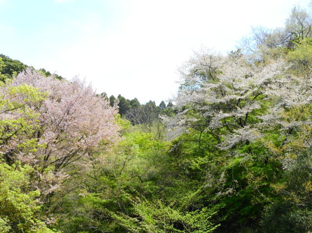 d0389159_22162024.jpg