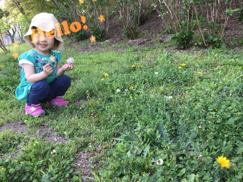 a0295764_00062913.jpeg