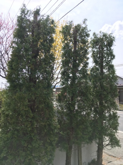 d0028665_21273290.jpeg