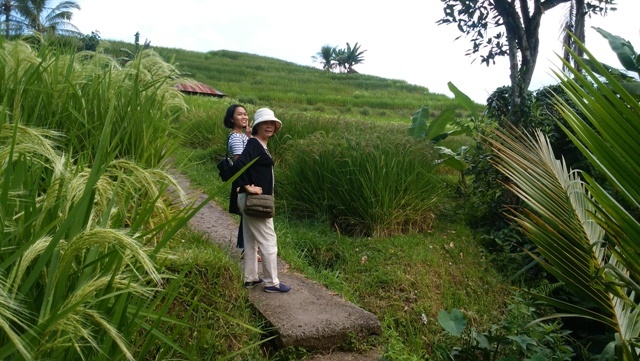 d0083068_08314866.jpg