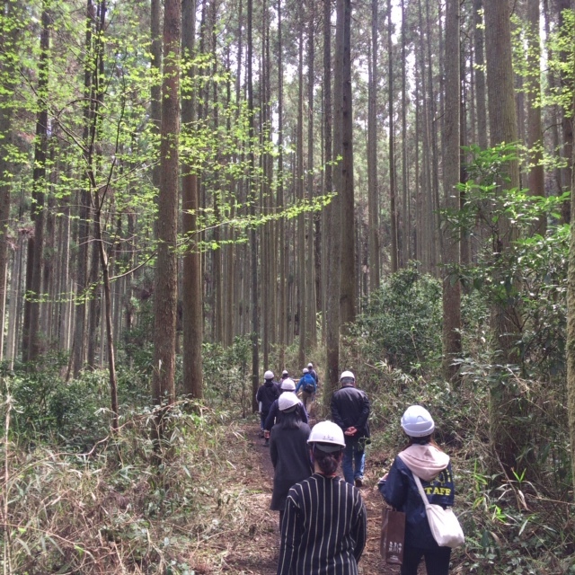 森林ツアーに行ってきました!_b0112371_17342920.jpg