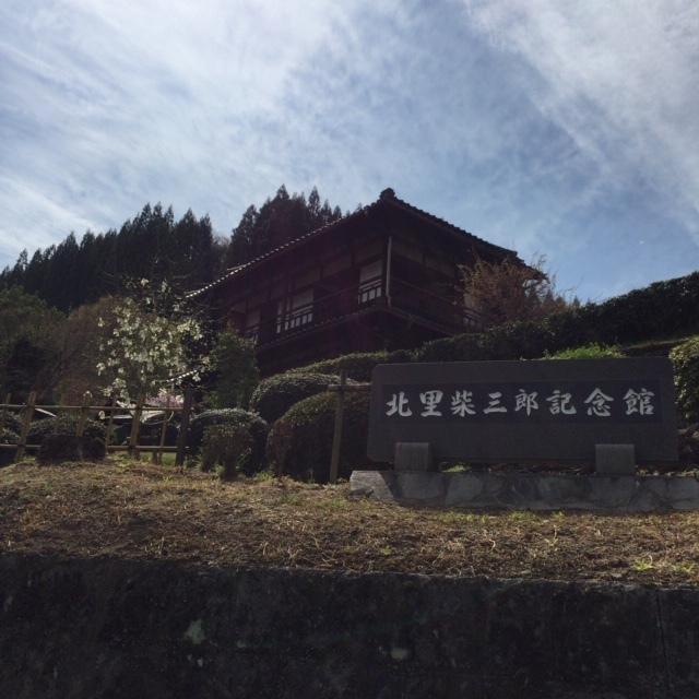森林ツアーに行ってきました!_b0112371_17343501.jpg