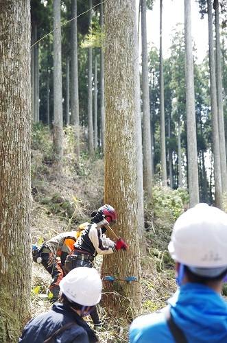 森林ツアーに行ってきました!_b0112371_17440989.jpg