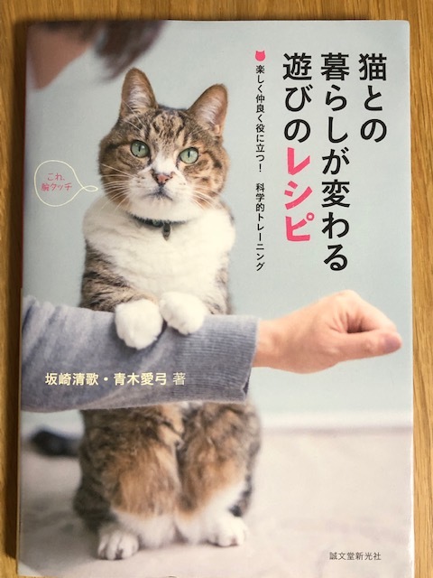 猫ちゃんの環境エンリッチメントとは?_e0367571_21495763.jpg