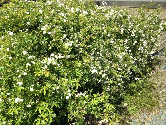 必然の意味・光の導き***_e0290872_08362606.jpg