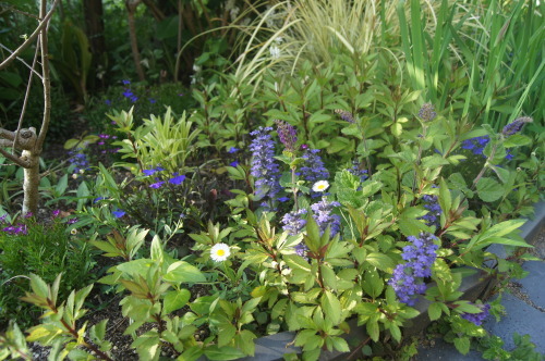 e0181373_20140917.jpg