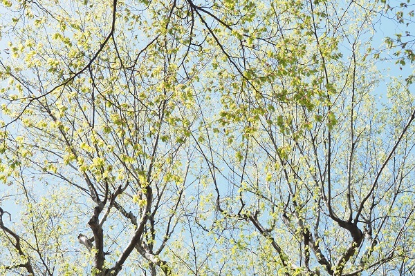 f0188274_11111680.jpg