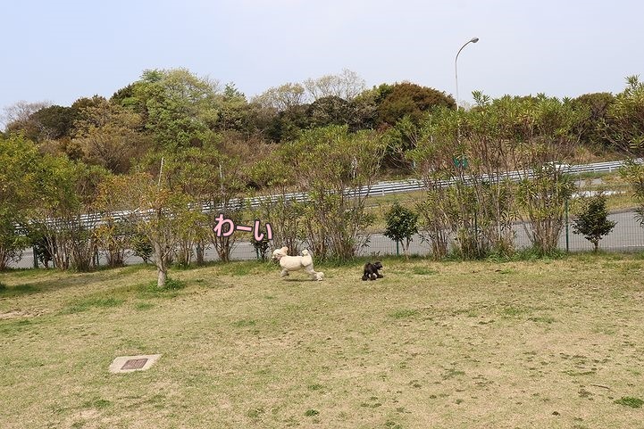 b0111376_15032135.jpg