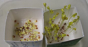 f0003283_07415598.jpg