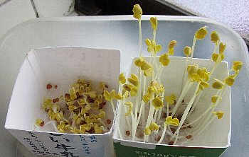 f0003283_07420002.jpg