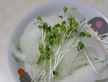 f0003283_07421856.jpg
