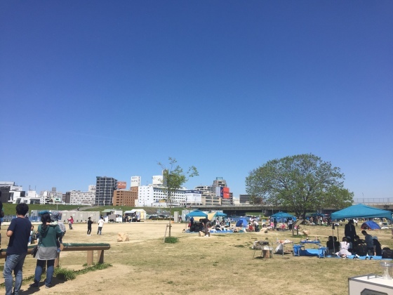a0258686_07502671.jpeg