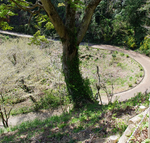 b0123486_05584880.jpg