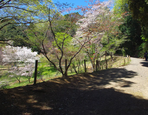 b0123486_06224980.jpg