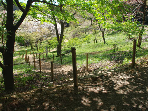 b0123486_06253195.jpg