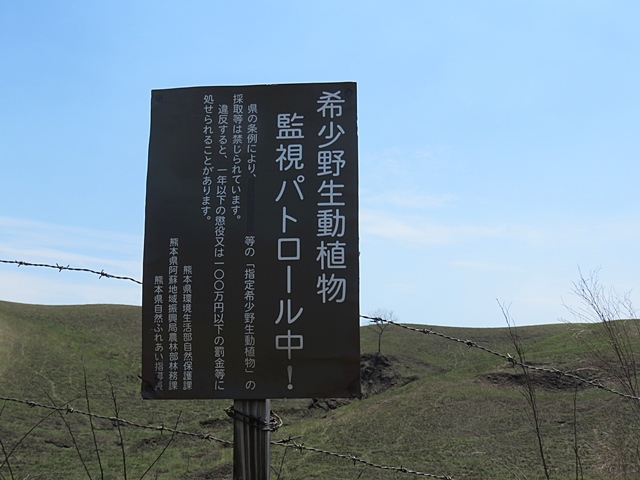 f0357487_21064227.jpg