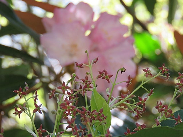 f0357487_21514735.jpg