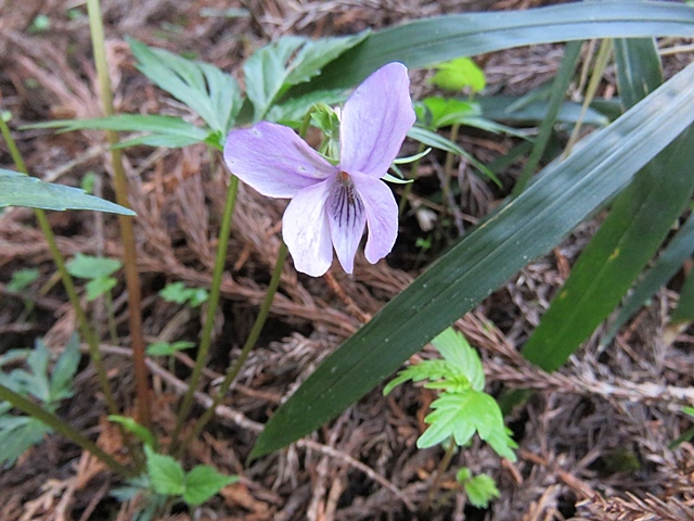 f0357487_21583290.jpg