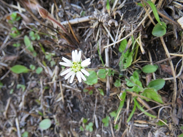 f0357487_22201720.jpg