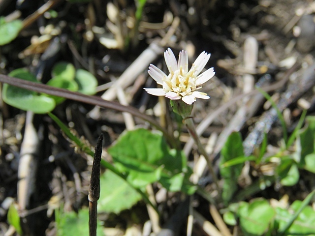 f0357487_22210417.jpg